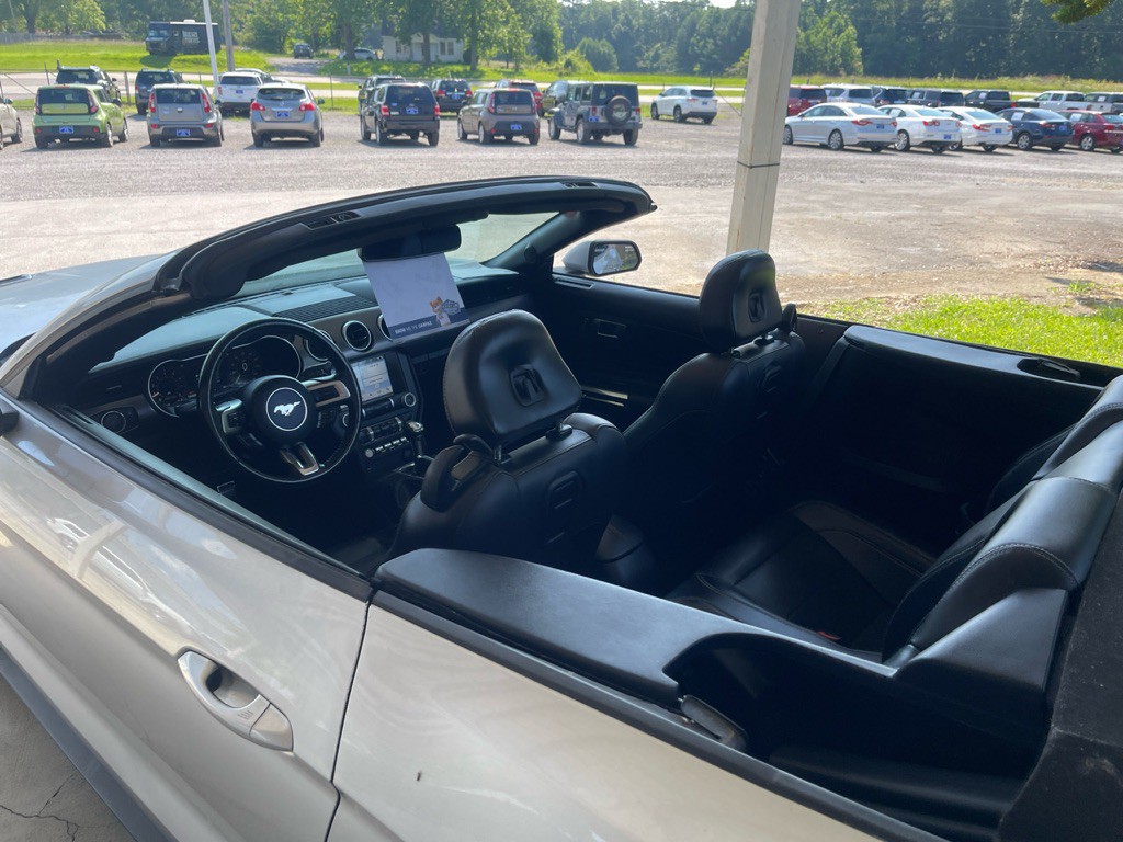 2019 Ford Mustang Image 18