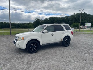 Image for 2010 Ford Escape Limited ID: 7497180
