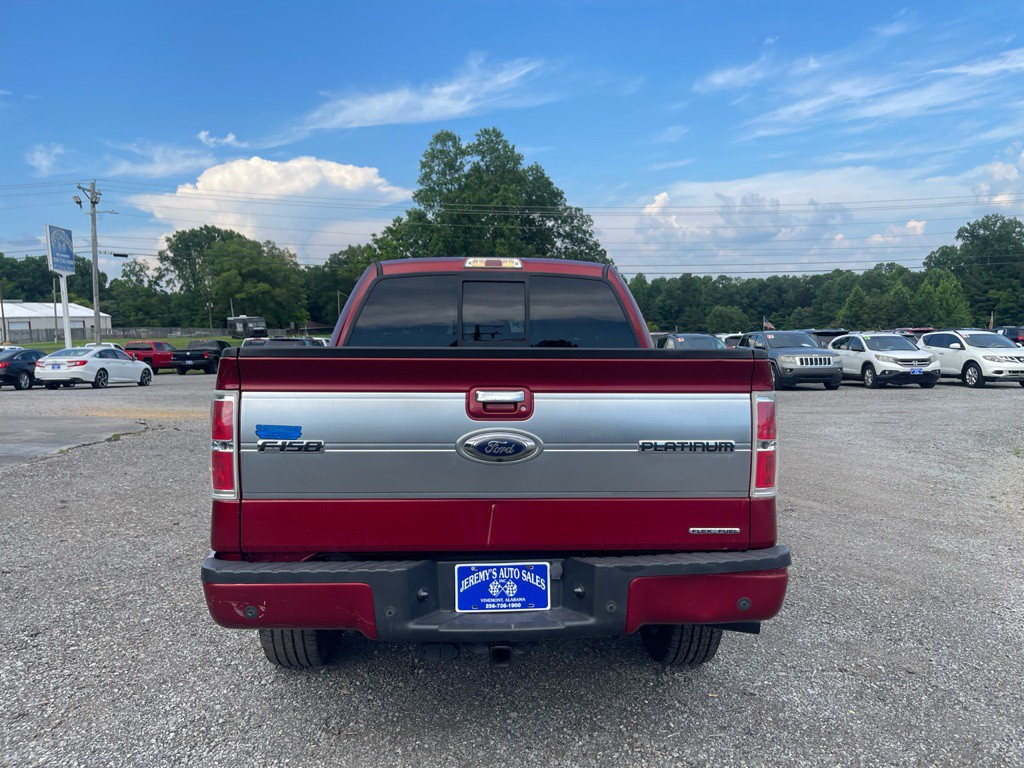 2013 Ford F-150 Image 4