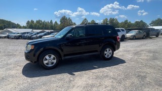 Image for 2010 Ford Escape XLT ID: 7667157