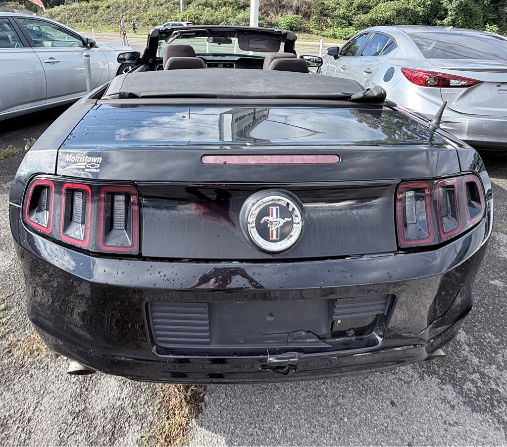 2014 Ford Mustang Image 10