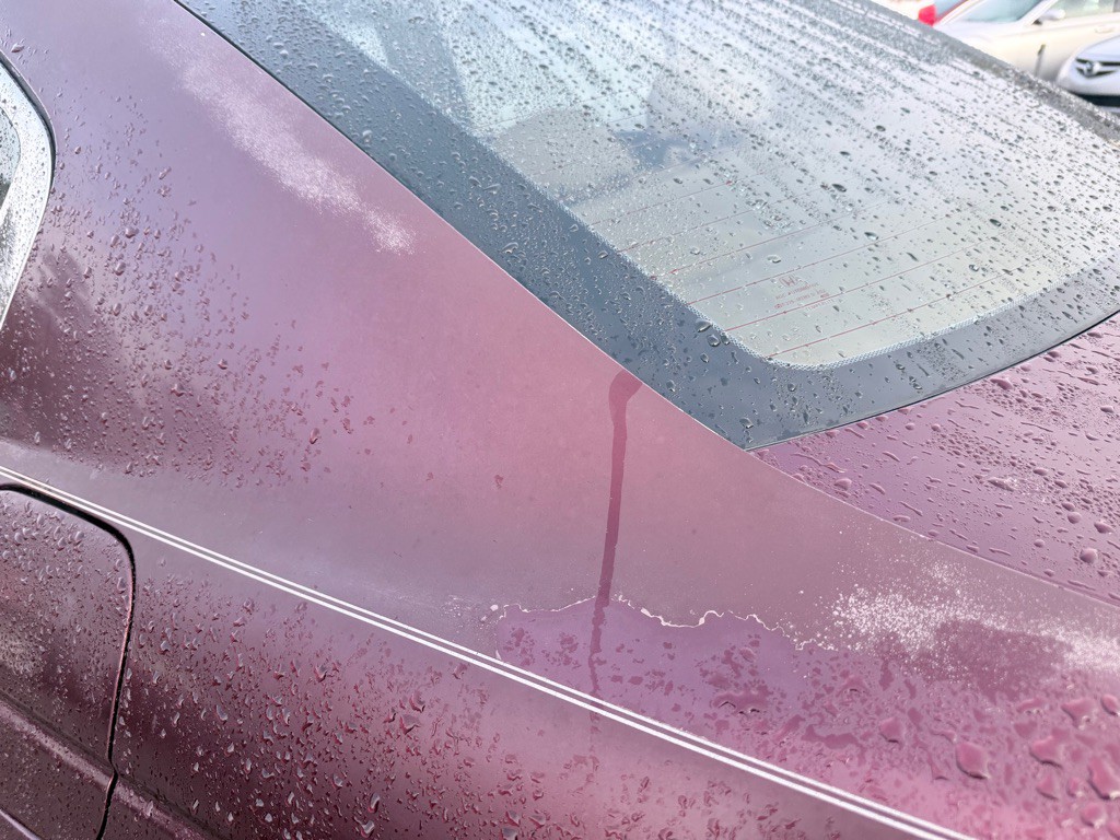 2009 Honda Accord Image 6