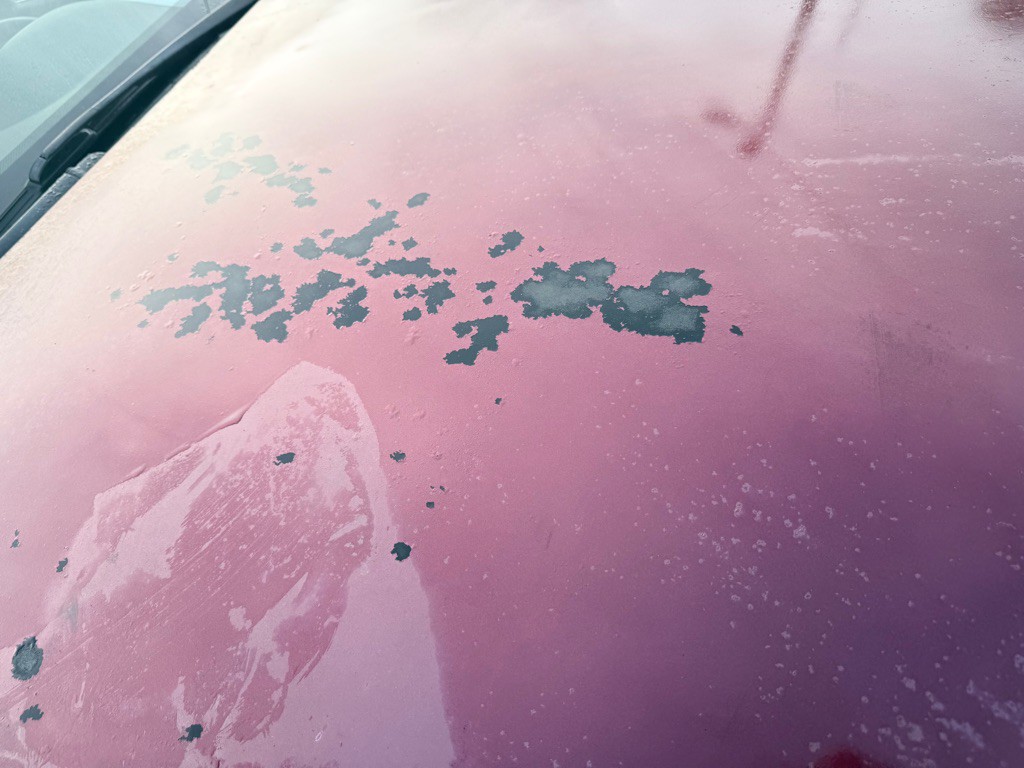 2009 Honda Accord Image 11