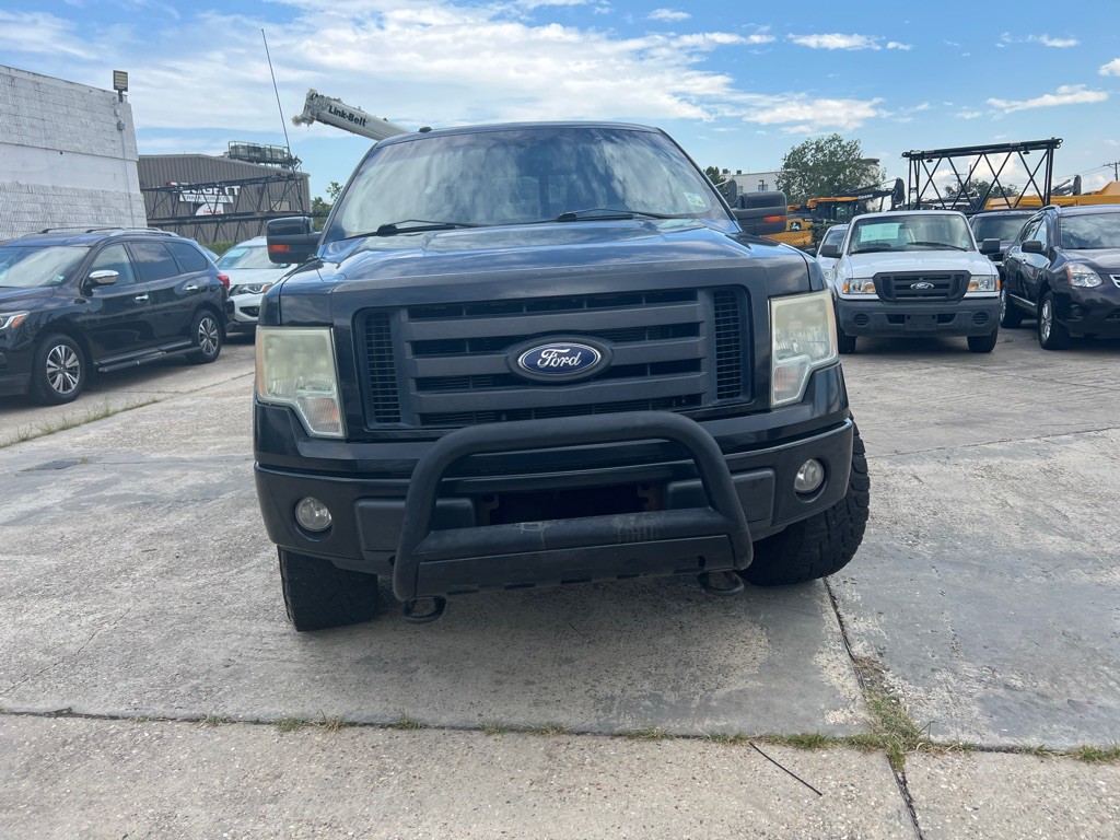 2010 Ford F-150 Image 4