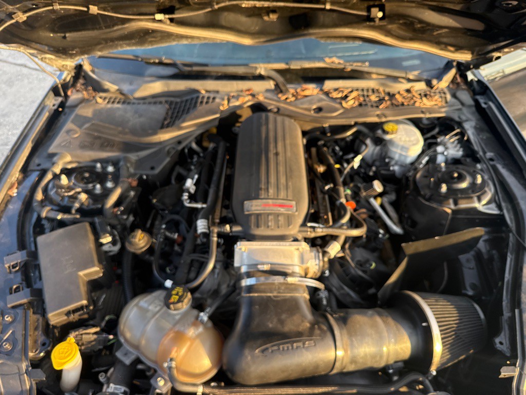 2018 Ford Mustang Image 23