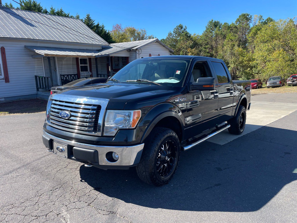 2010 Ford F-150 Image 3