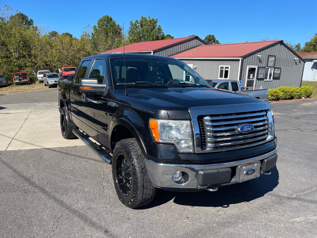 2010 Ford F-150 Image 5