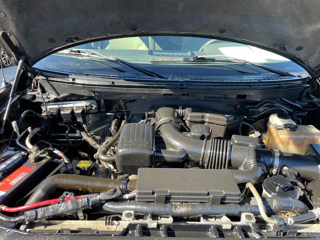 2010 Ford F-150 Image 16