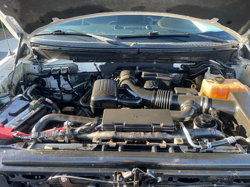 2010 Ford F-150 Image 17