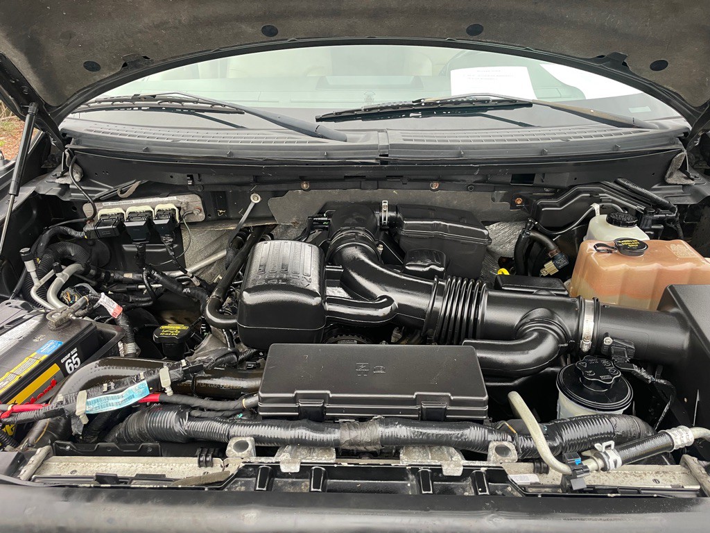 2010 Ford F-150 Image 16