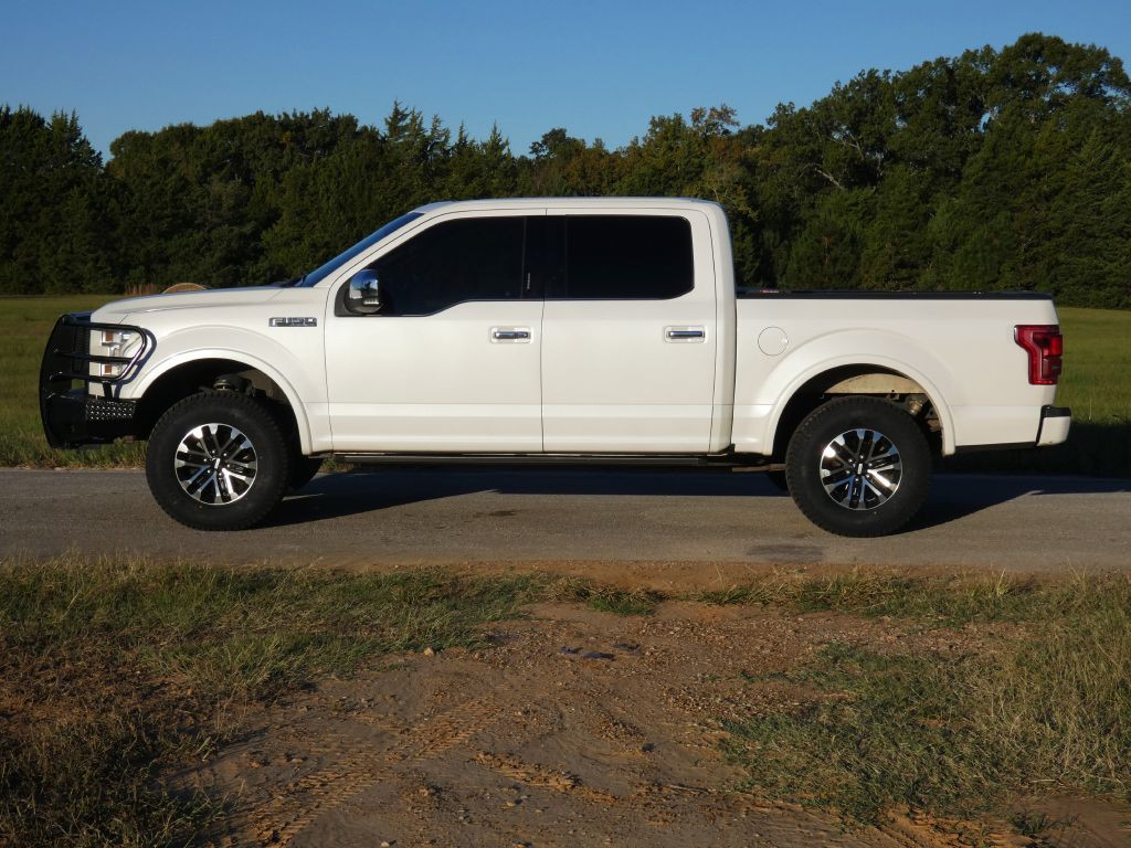 2015 Ford F-150 Image 2