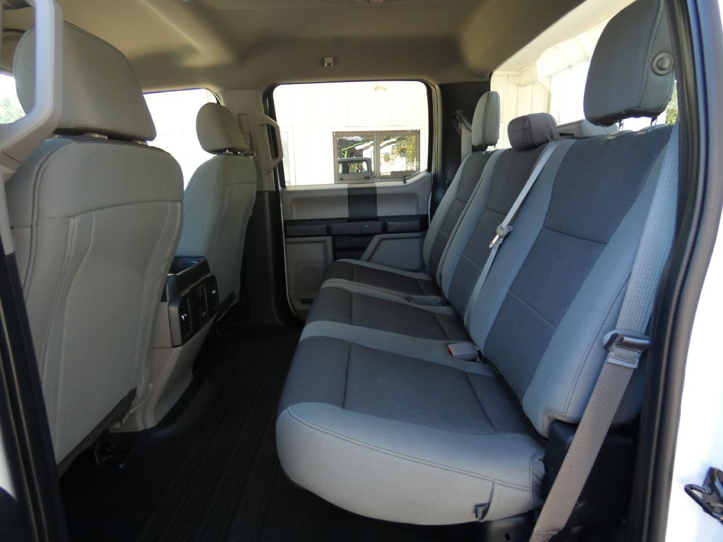 2019 Ford F-150 Image 13