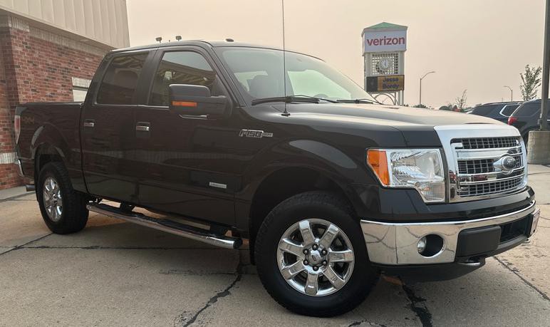 2014 Ford F-150 Image 6