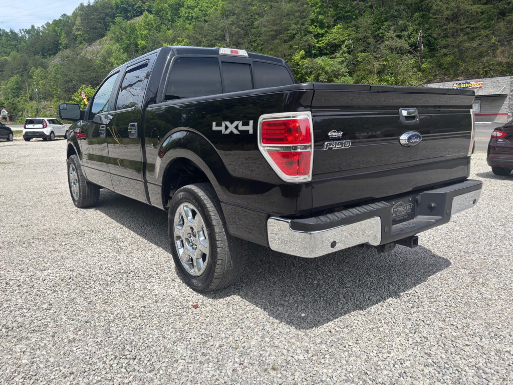2014 Ford F-150 Image 7