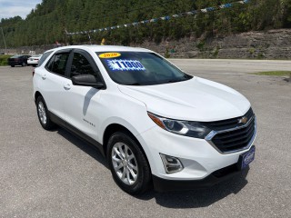 Image for 2020 Chevrolet Equinox LS ID: 7448530