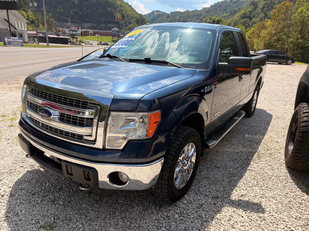 2013 Ford F-150 Image 3