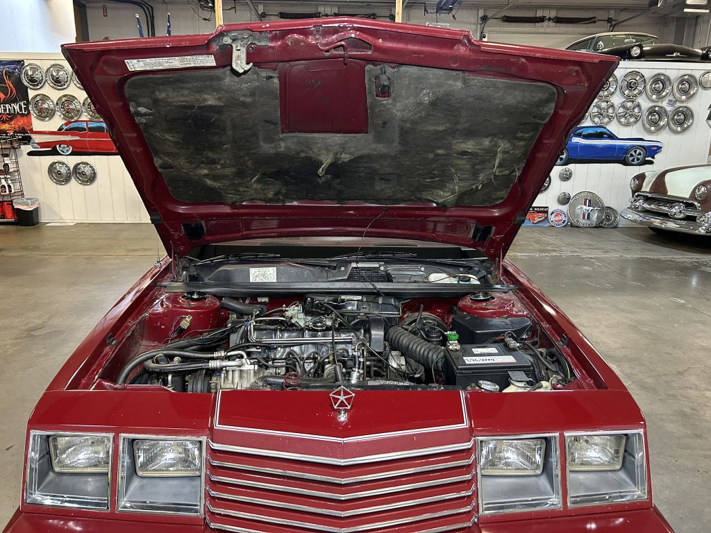1983 Dodge 400 Image 76