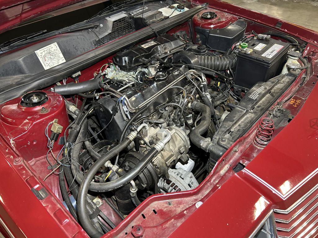 1983 Dodge 400 Image 80
