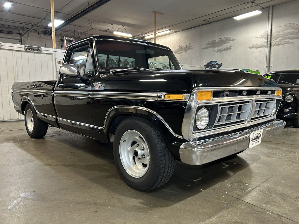 1977 Ford F-150 Image 3