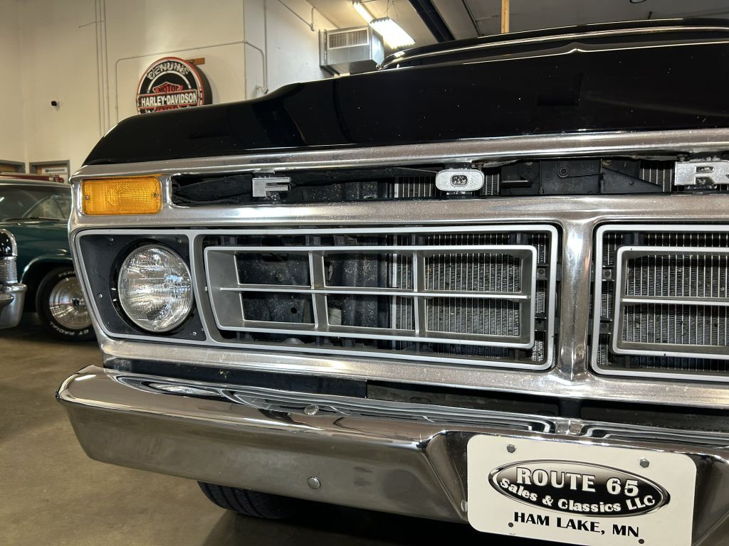 1977 Ford F-150 Image 10