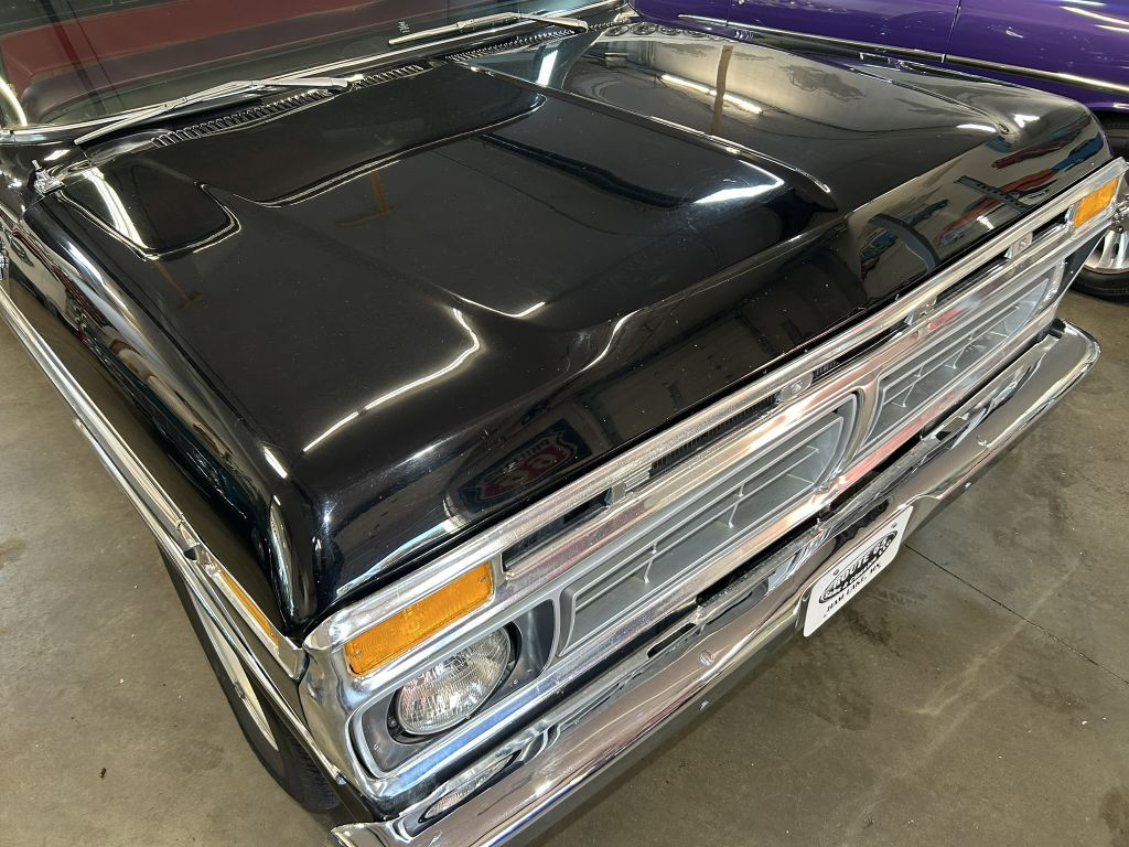 1977 Ford F-150 Image 12