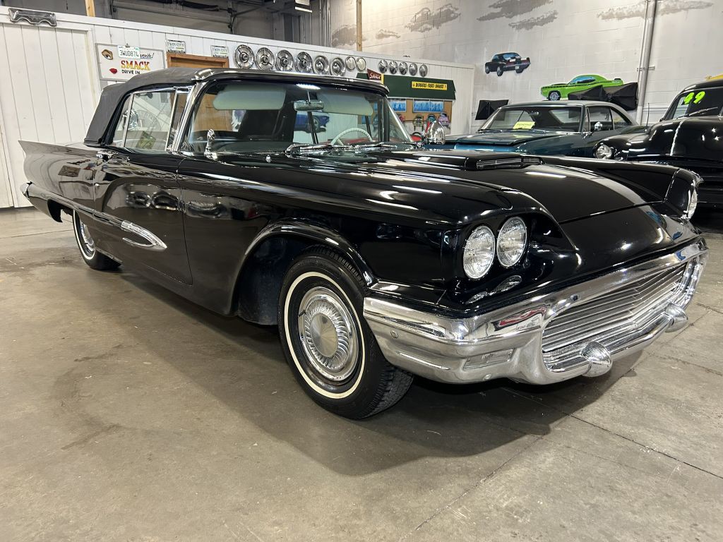 1959 Ford Thunderbird Image 3