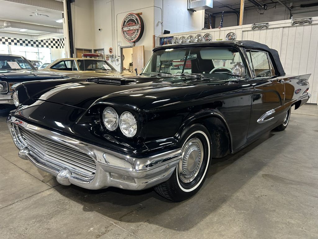 1959 Ford Thunderbird Image 9
