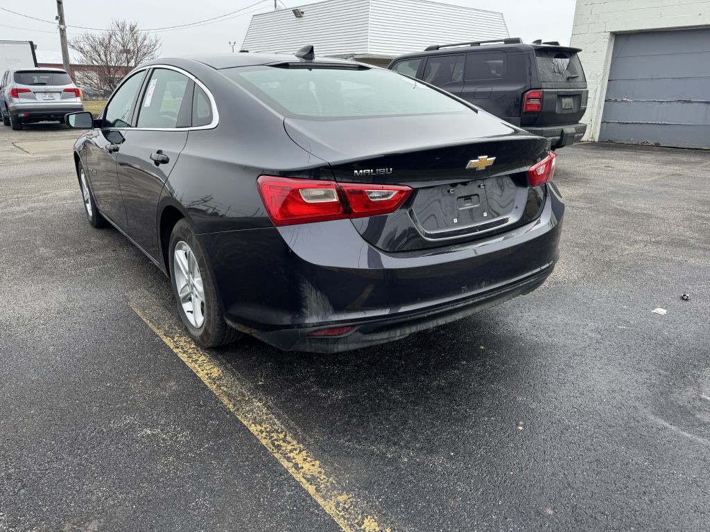 2023 Chevrolet Malibu Image 4