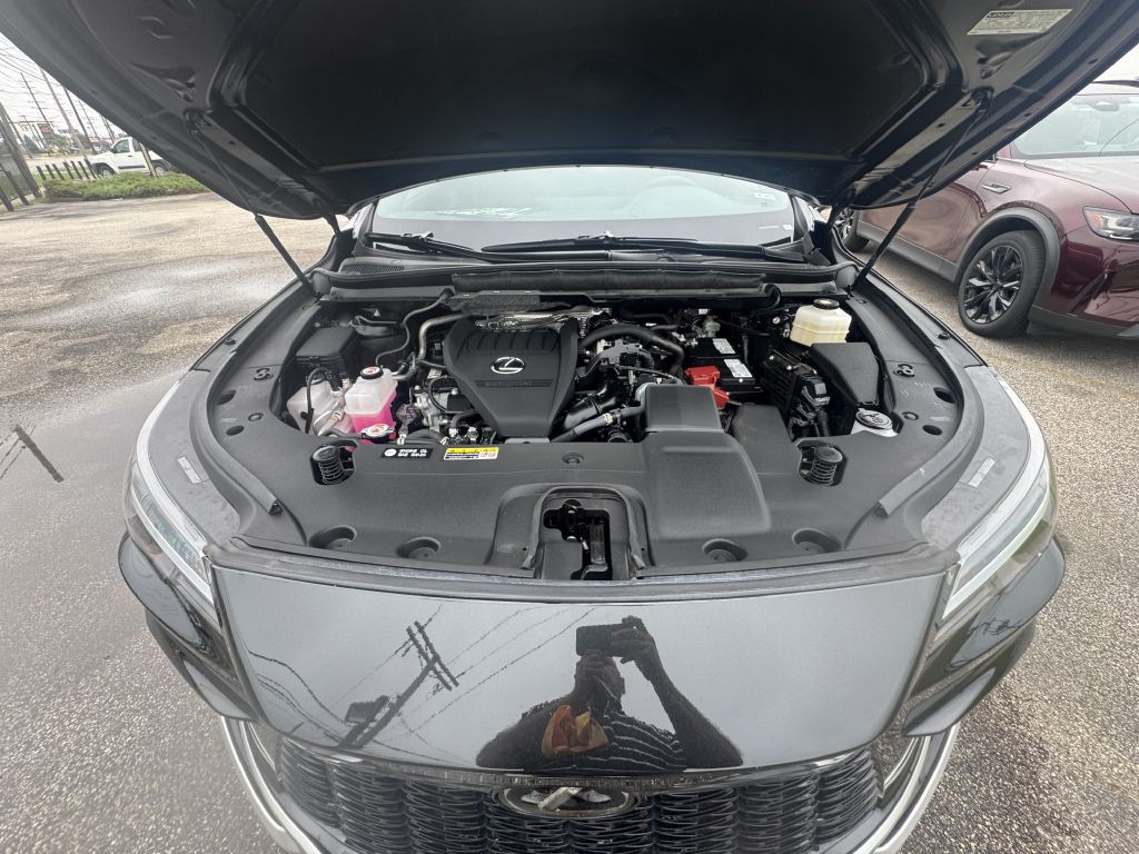 2025 Lexus RX Image 18
