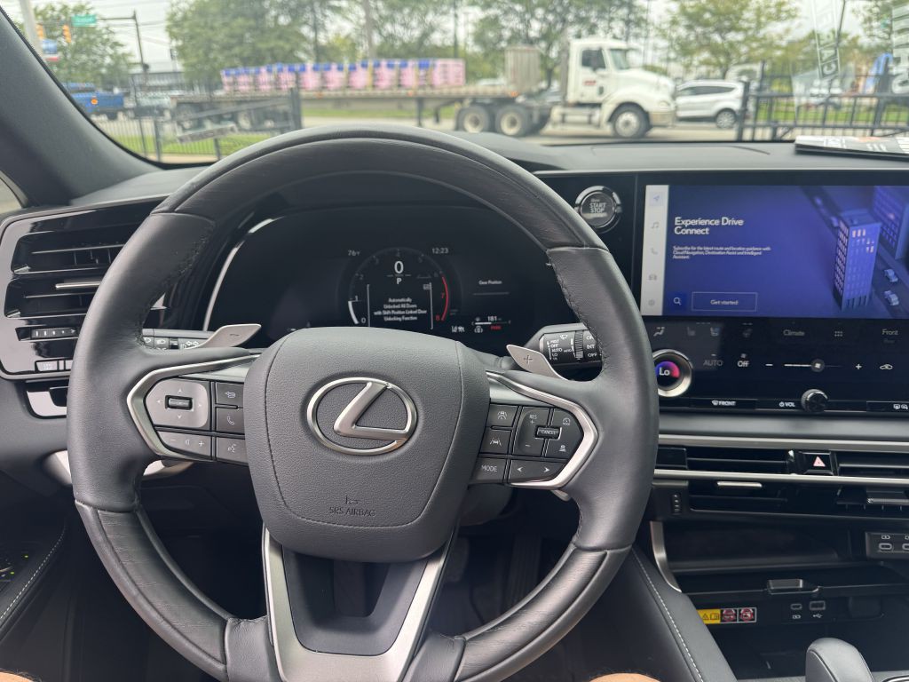 2025 Lexus RX Image 19