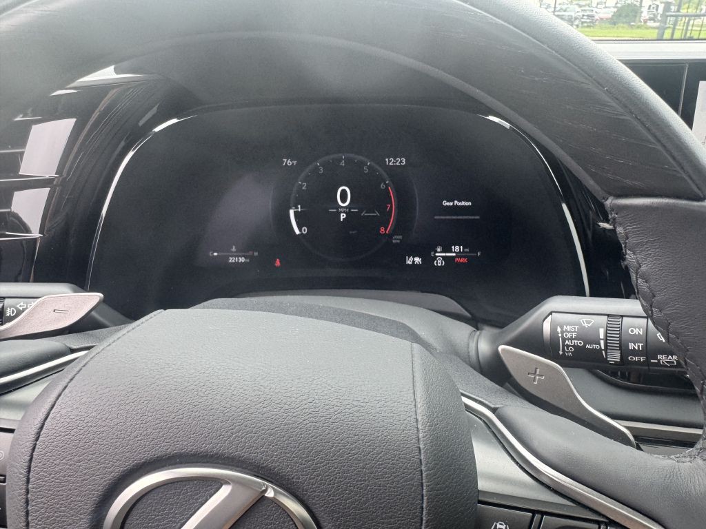 2025 Lexus RX Image 22