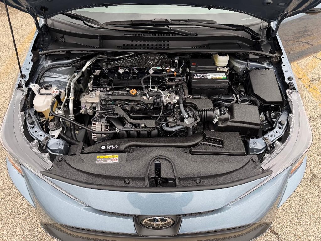 2025 Toyota Corolla Image 13