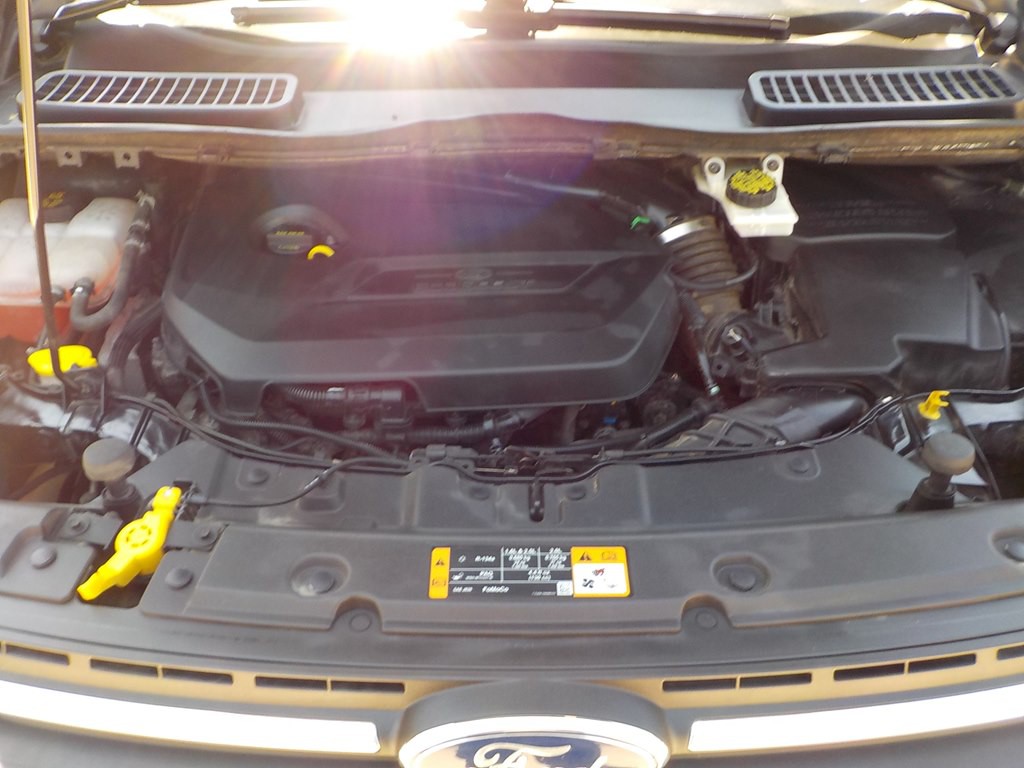 2014 Ford Escape Image 16