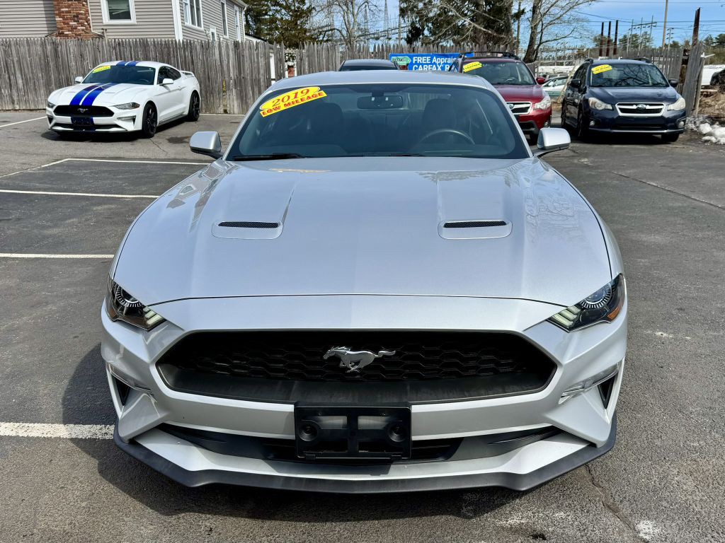 2019 Ford Mustang Image 2
