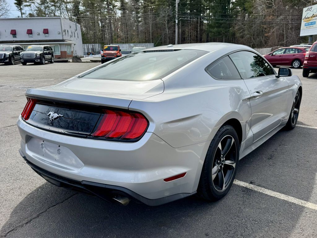 2019 Ford Mustang Image 4