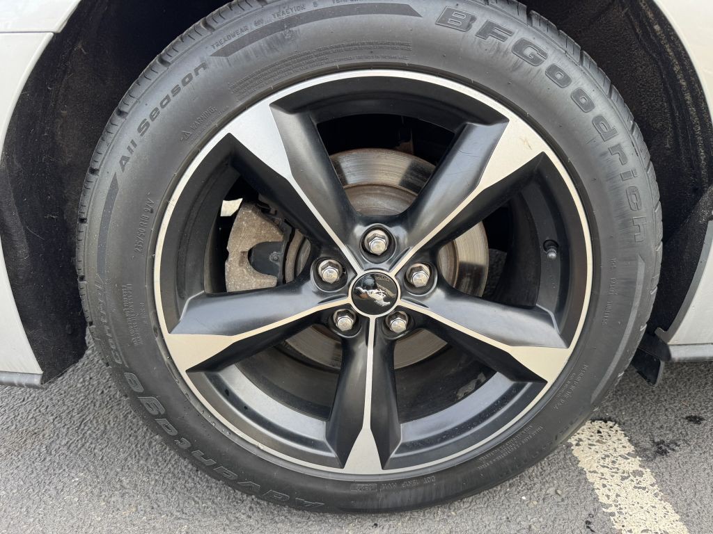 2019 Ford Mustang Image 11