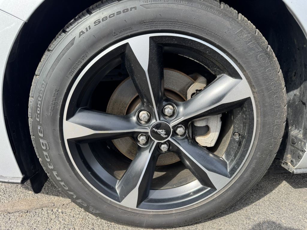 2019 Ford Mustang Image 13