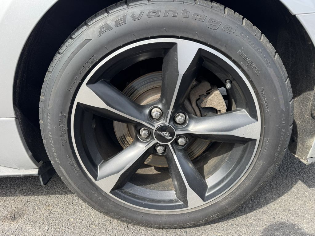 2019 Ford Mustang Image 14