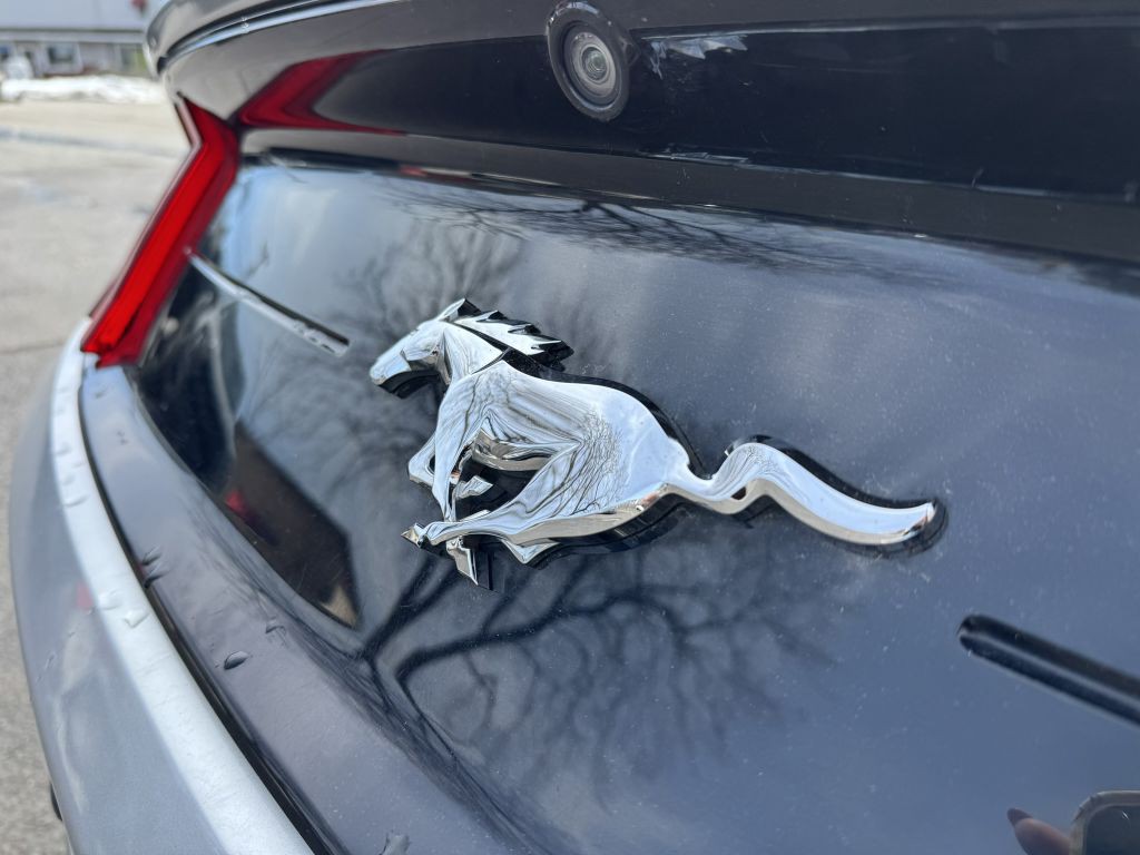 2019 Ford Mustang Image 27