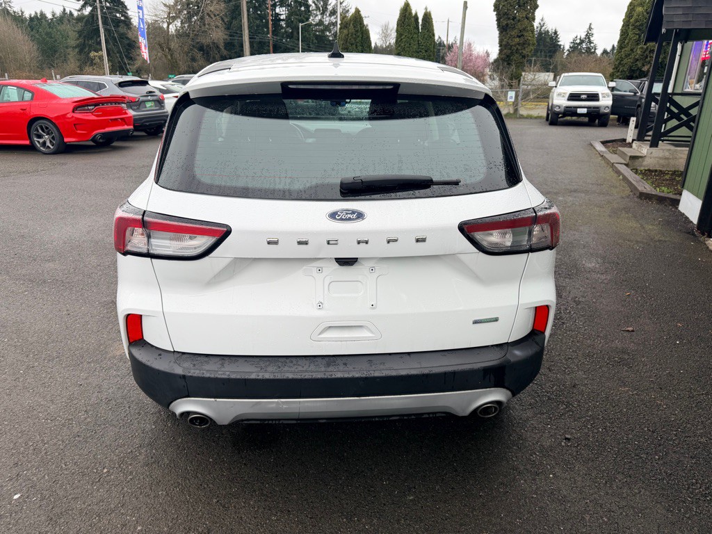 2020 Ford Escape Image 4