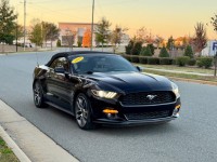 Image for 2015 Ford Mustang Premium ID: 6996978