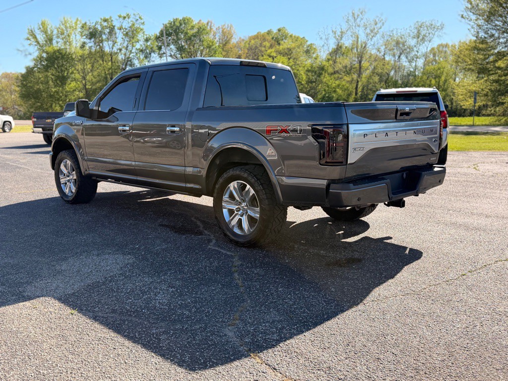 2015 Ford F-150 Image 3