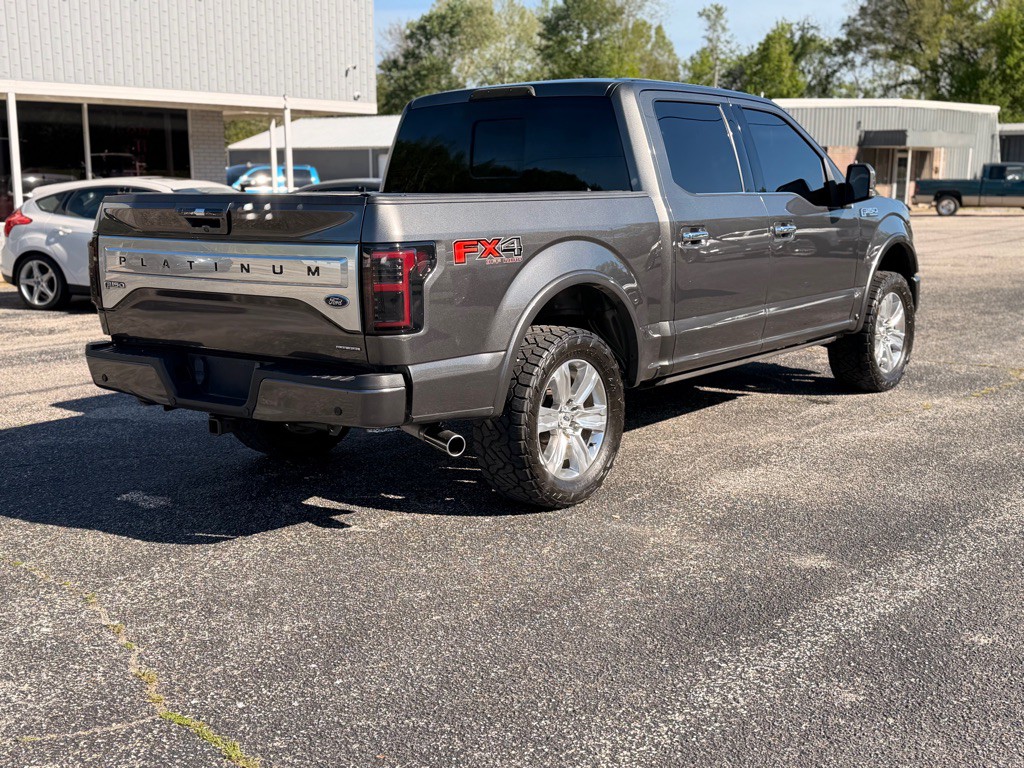 2015 Ford F-150 Image 5