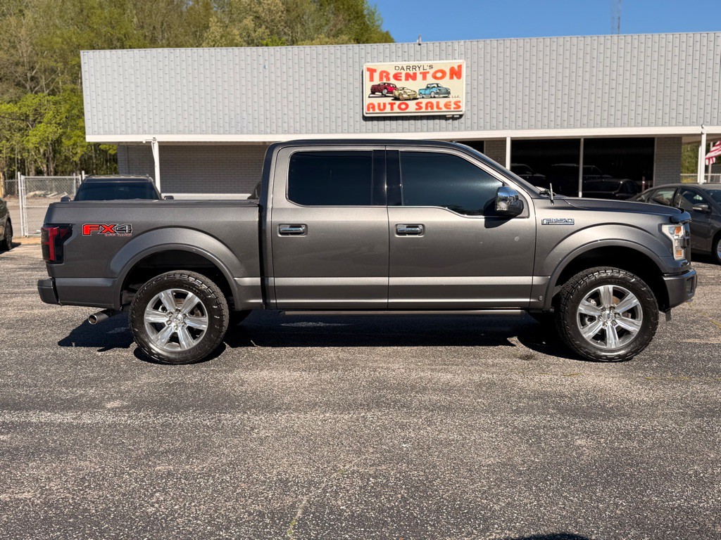 2015 Ford F-150 Image 6