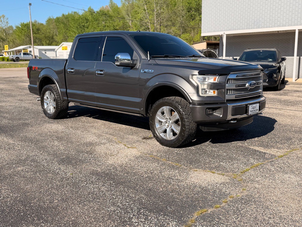 2015 Ford F-150 Image 7