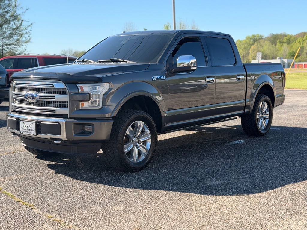 2015 Ford F-150 Image 1