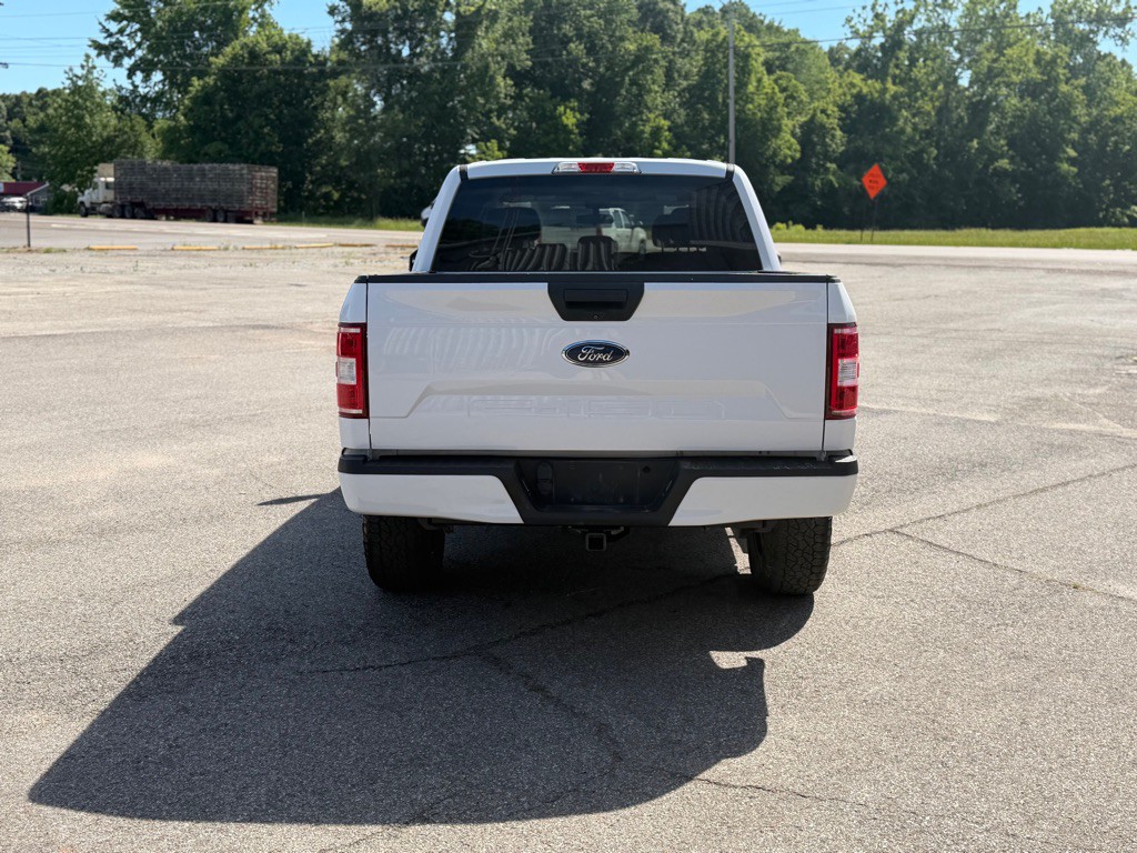 2019 Ford F-150 Image 4