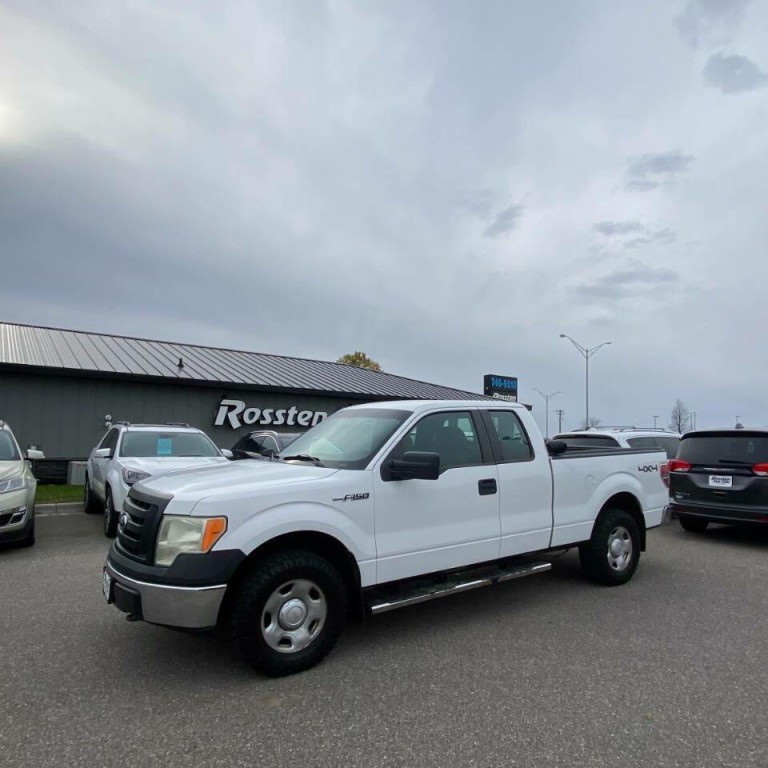 2009 Ford F-150 Image 1