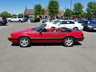 Image for 1991 Ford Mustang LX 5.0 ID: 99553