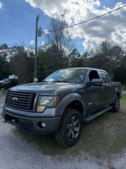 Image for 2011 Ford F-150 FX4 ID: 7254152